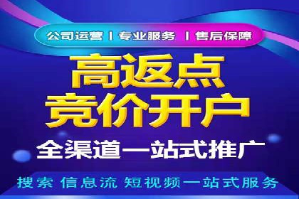 百度推广在汽车行业的营销案例